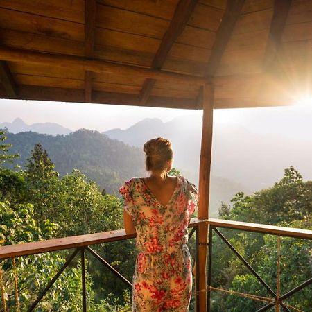 The Tree House Hotel Ginigathena Екстериор снимка