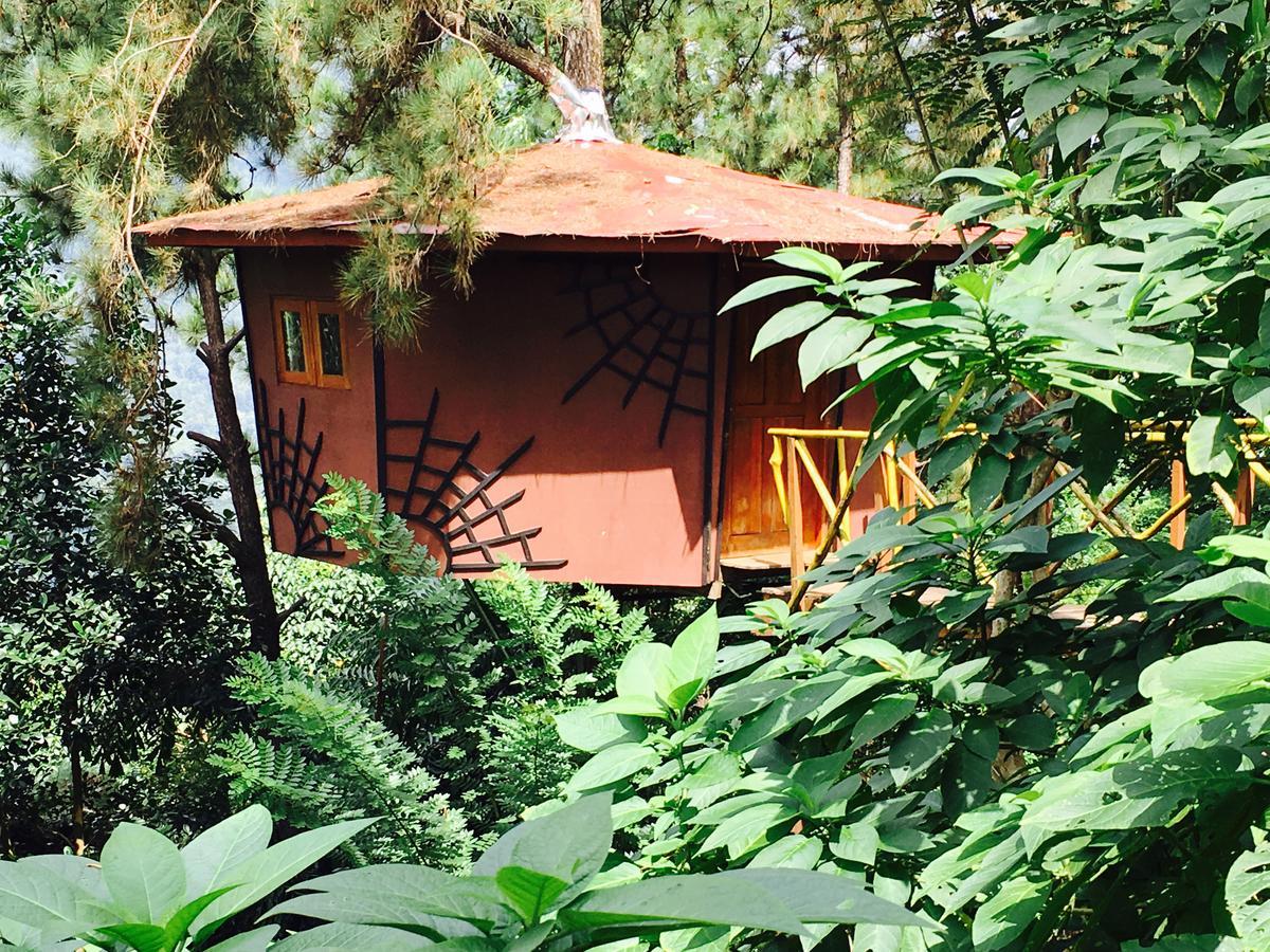 The Tree House Hotel Ginigathena Екстериор снимка