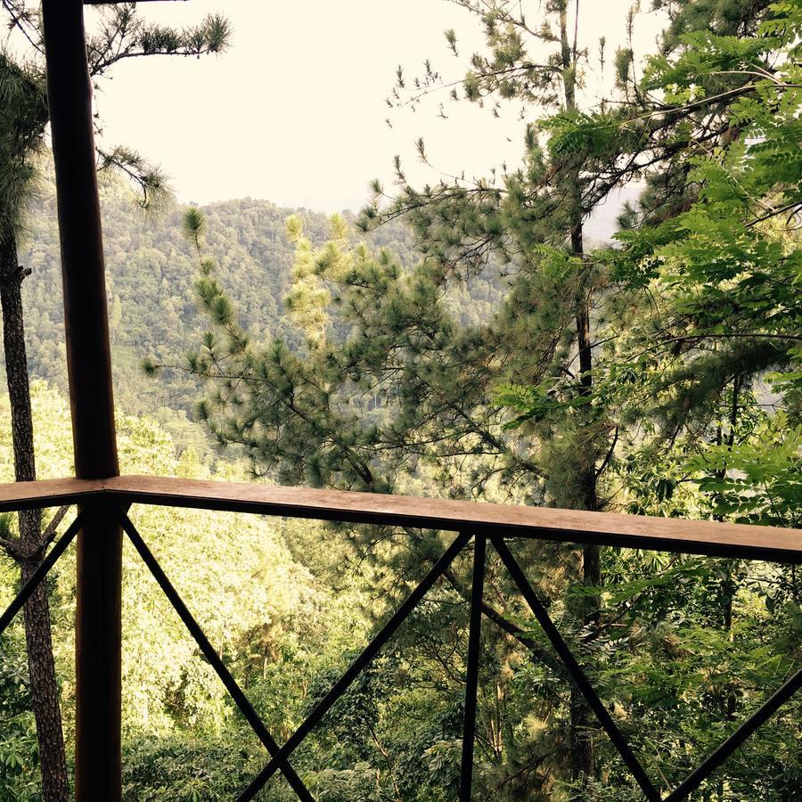 The Tree House Hotel Ginigathena Екстериор снимка