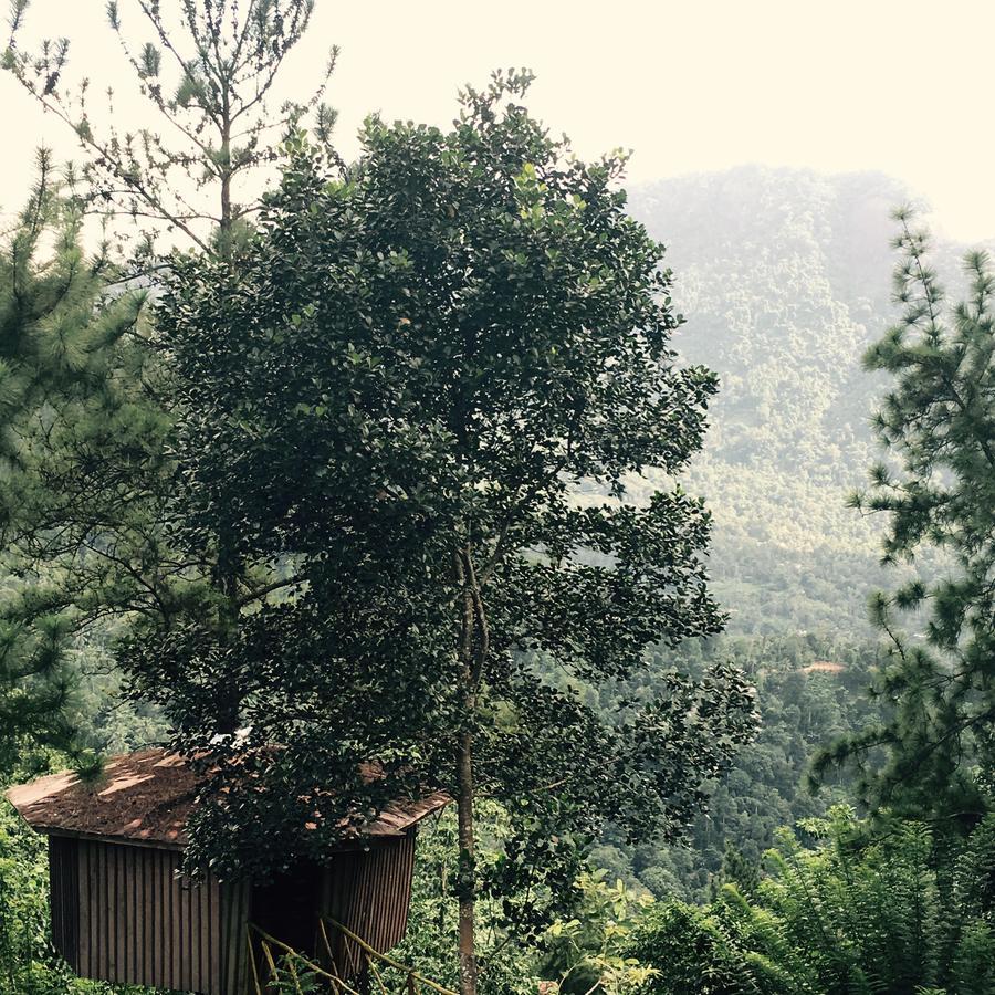 The Tree House Hotel Ginigathena Екстериор снимка