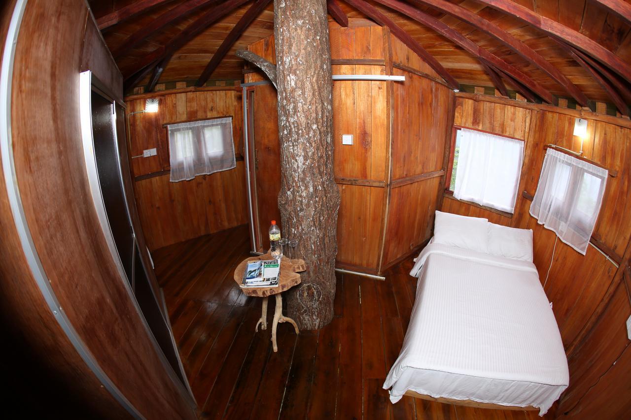 The Tree House Hotel Ginigathena Екстериор снимка