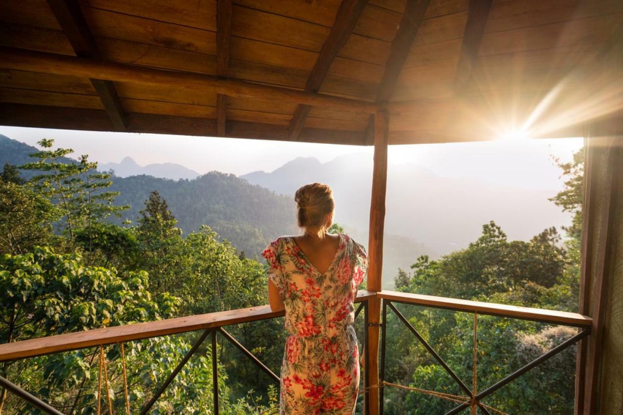 The Tree House Hotel Ginigathena Екстериор снимка